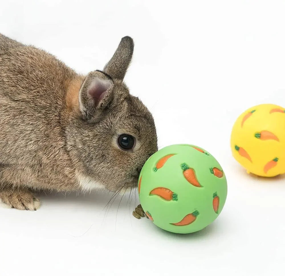 Jouet interactif anti-gaspillage pour lapins, furets, hamsters et chats