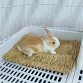 Natte en Herbe Naturelle pour Lapin