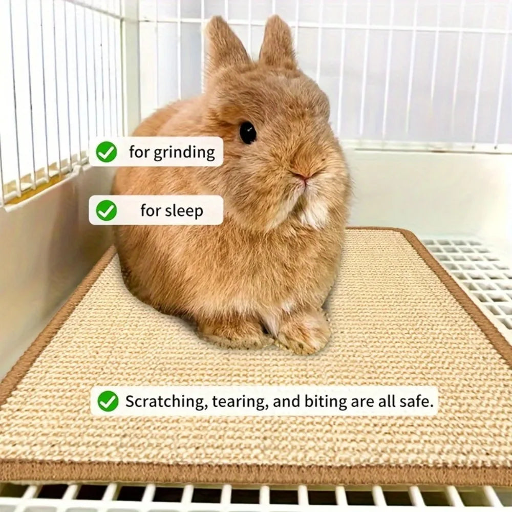 Tapis Anti-Dérapant à Mâcher pour Lapin – Soin des Dents & Confort en Cage
