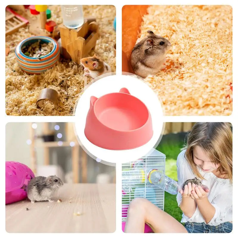 Bol alimentaire pour hamsters, lapins, cochons d'Inde et petits rongeurs