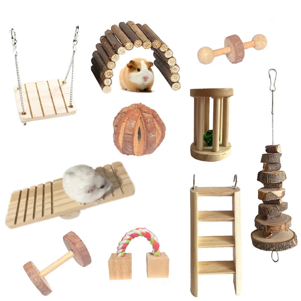 Set de jouets en bois naturel pour hamsters, lapins, oiseaux et cochons d'Inde – 11 variantes
