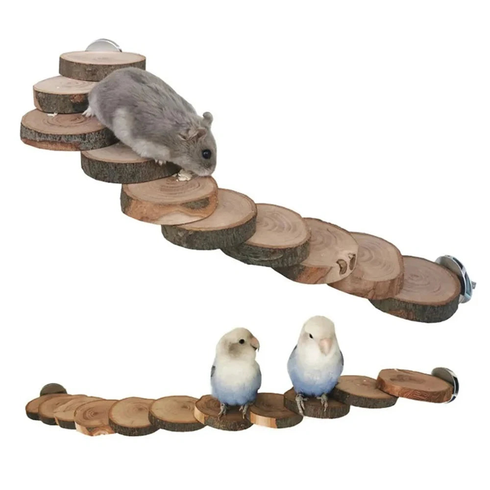 Set de jouets en bois naturel pour hamsters, lapins, oiseaux et cochons d'Inde – 11 variantes