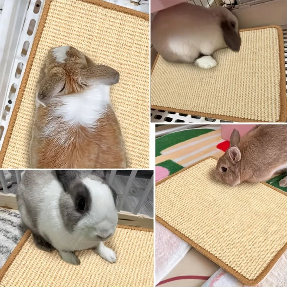 Tapis Anti-Dérapant à Mâcher pour Lapin – Soin des Dents & Confort en Cage