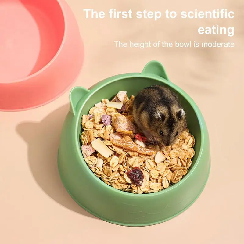 Bol alimentaire pour hamsters, lapins, cochons d'Inde et petits rongeurs