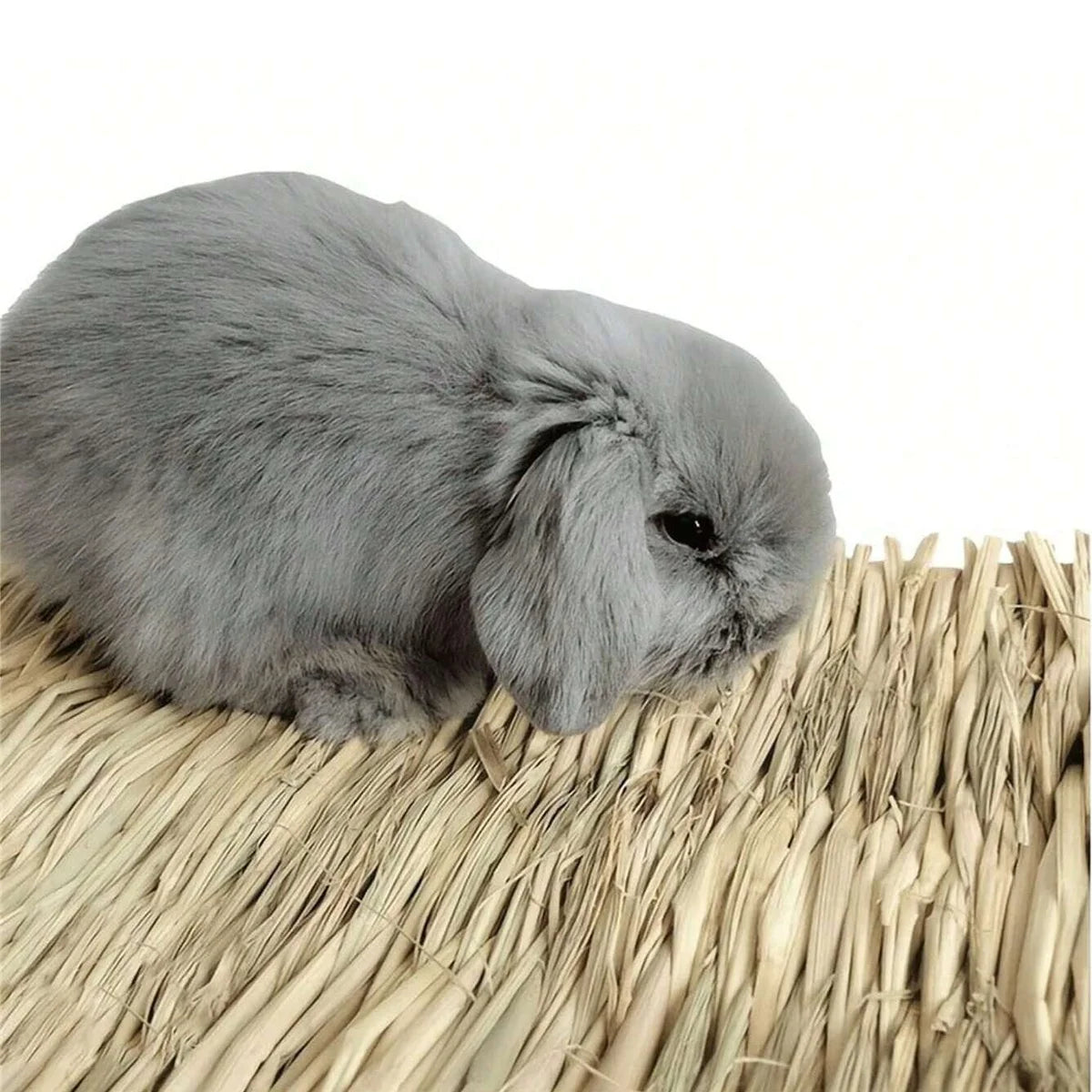 Natte en Herbe Naturelle pour Lapin
