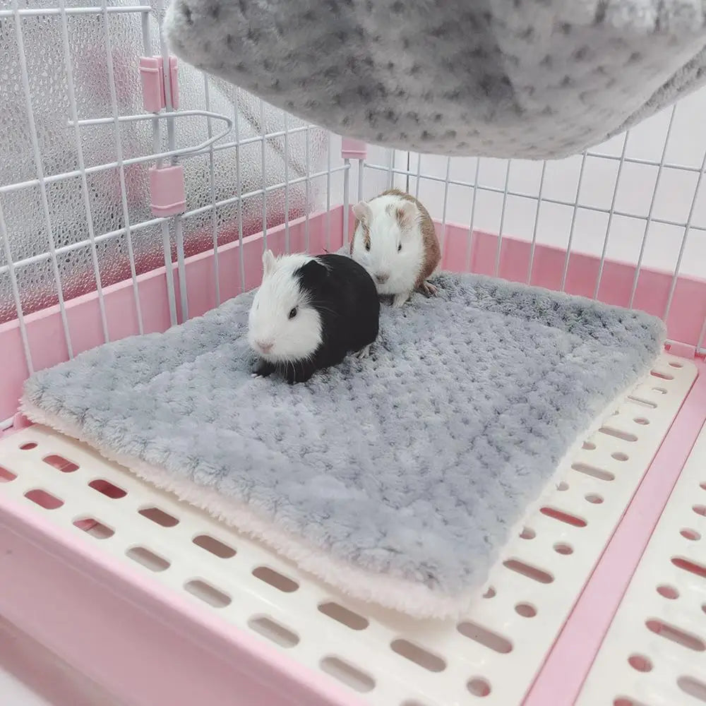 Accessoire cage multifonction pour hamsters, cochons d'Inde, rats et furets