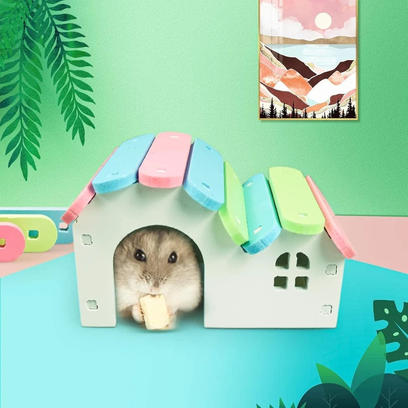 Maison gerbille ronde en bois à assembler soi-même – Rainbow Bridge